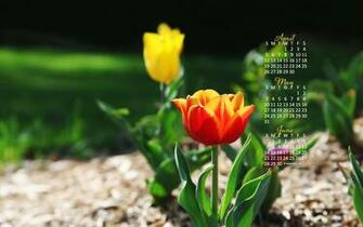Calendar Wallpaper Desktop By Kate Net
