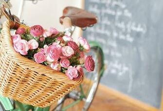 Wallpaper Bicycle Flower Bike Basket Romantic Desktop