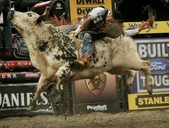 Top Pbr Bull Riding Wallpaper Image For