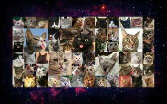 A Blep Compilation Wallpaper I Made For Coworker In Good Old