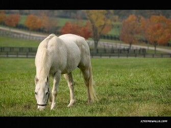 Animals Farm Wallpaper Info The Is Resized To Fit