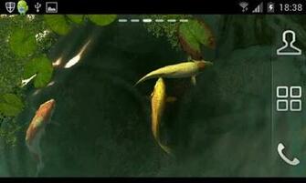 Check Out This Wonderful 3d Live Wallpaper All My Are