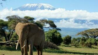 Mount Kilimanjaro HD Wallpaper