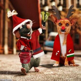 Pin Funny Xmas Wallpaper Computer Wallpaperfunny Cat