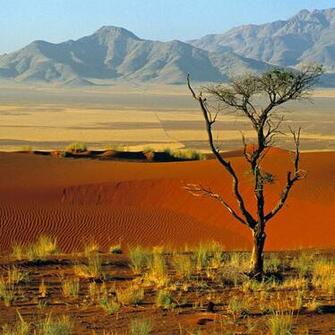Desert Wallpaper Desktop With Resolutions Pixel