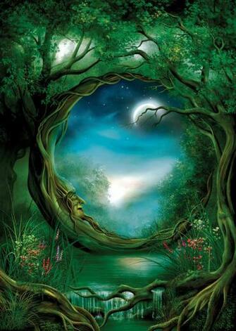 Moon Tree By John E Shannon Decalgirl