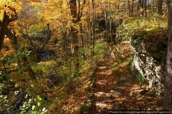 Toms Hiking And Photography Fall Wallpaper