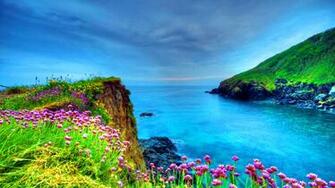 Beautiful HD Wallpaper For Desktop