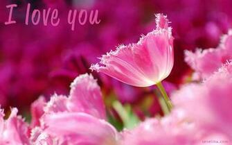 Valentines Days Wallpaper Were Quite Popular Before But This
