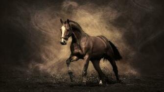 Winter Horse Wallpaper