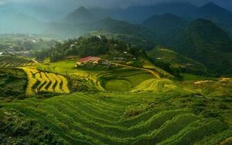 Rice Terraces In Vietnam Desktop Pc And Mac Wallpaper