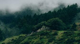 Na25 Nature Mountain Green Mac Wallpaper