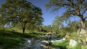 Nature Full HD Wallpaper 1080p Lanscapes