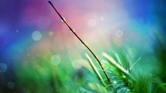 Nature Heaven Wallpaper HD