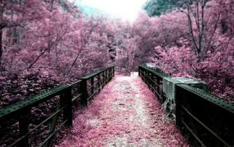 Landscape Wallpaper Beautiful And Lush Life