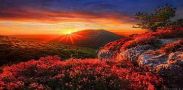 Computer Scenery Beautiful Drawing Art Desktop Wallpaper HD
