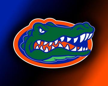 Florida Gator Wallpaper Gators