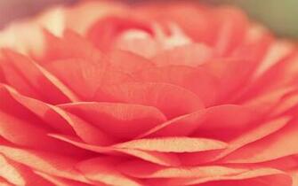 Collection Great Pictures Pure High Definition HD You Can