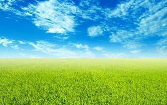 Sky And Grass Wallpaper Wide Screen 1080p 2k 4k