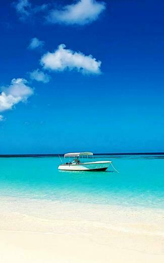Tropical Beach Vacation Wallpaper