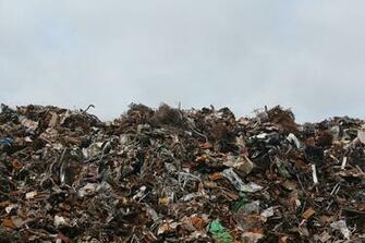 Waste Disposal Image