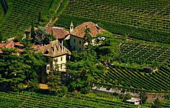 Wallpaper Photo The City Castle Spruce Italy Field