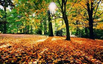 Desktop Wallpaper Background Pc Stock Image Photos
