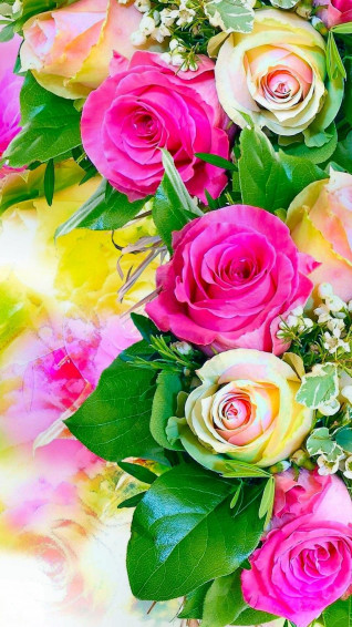 Flower HD Wallpaper On