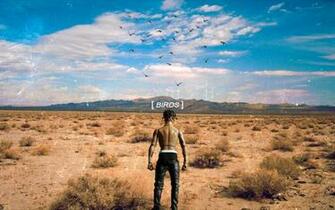 Birds Custom Wallpaper Album Cover