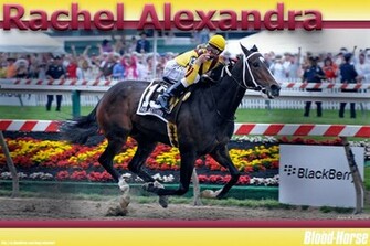 Click To Buy The Rachel Alexandra Photo