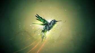 Pin Wallpaper Original Hummingbird Bird Flying Grass Flowers On