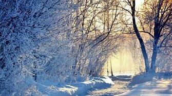 Winter Morning Wallpaper Light