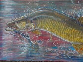 7wyczkr Musky Pictures Wallpaper Picserio
