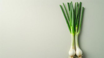 Green Onion Isolated On White Background With Copy Space For Your Text Wallpaper