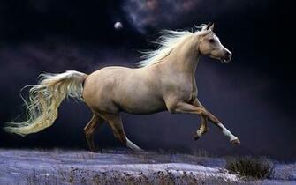Wallpaper Of A Fast Running Brown Horse In The Winter HD Horses