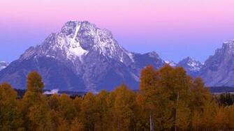 Cougar Picture Grand Teton National Park Photo Auto Design Tech