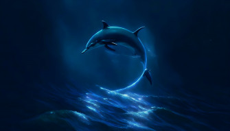 Dolphin Desktop Wallpaper HD