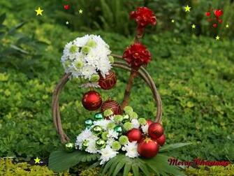 Natural Flowers Wallpaper
