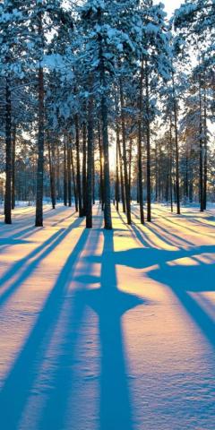 Best Wallpaper For iPhone And Pro
