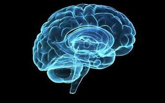 Brain Hologram Desktop Wallpaper Uploaded By Fardad