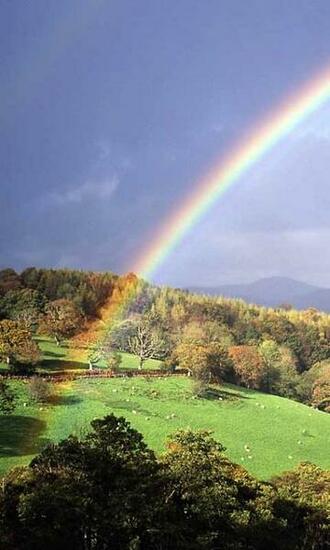 Real Rainbow Live Wallpaper Android
