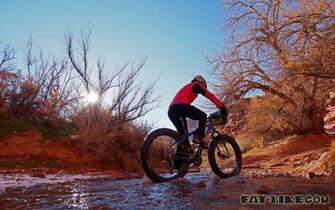 Mcmanus Fat Bike Wallpaper