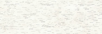 White Birch Bark Wallpaper Rr0 Png