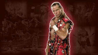 Wwe Fighters Hbk Jpg