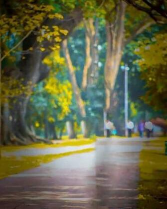 Best Photo Editing Background Tutorial Photoshop Cc