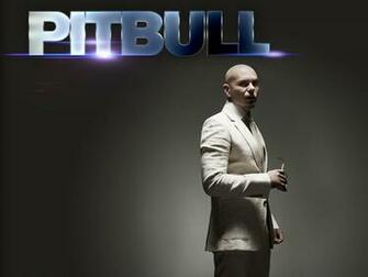 Pitbull Wallpaper S By Animatorjai