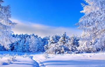 Sunny Winter Day