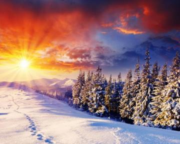 Sunny Winter Day Wallpaper