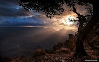 Nature Wallpaper Windows Themes Landscape