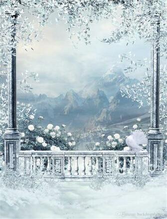 Winter Snow Scenic Wallpaper Outdoor Background White Pigeon Trees